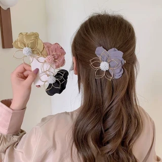 elegant_hair_clip_code__089_ELE100HUV5JHAI_1_320.webp