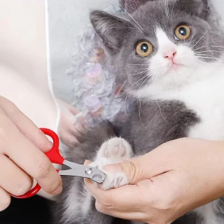 pet_nail_scissors_code__039_PET50CLLAQGRO_1_320.webp